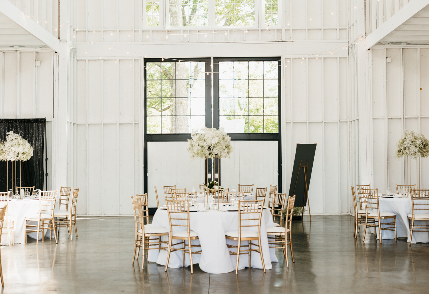 Black and White Wedding Invitations for a Classic Ashford Acres Inn Wedding 17 Interior of the Event Barn at Ashford Acres Inn with black and white wedding decor, featuring tall baby's breath centerpieces, gold chairs, and white table linens.